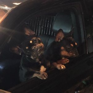 Meet your Posher, Mark